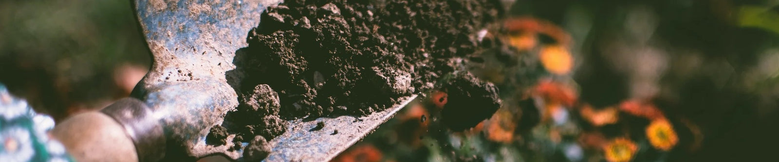 trowel in garden soil