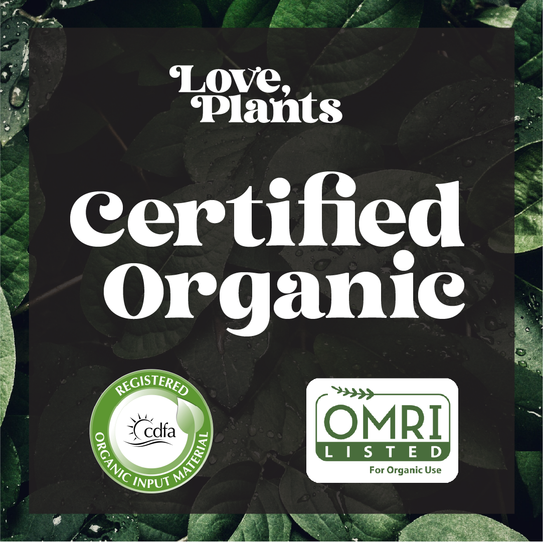 Seed, Start & Transplant Success Kit - Love, Plants