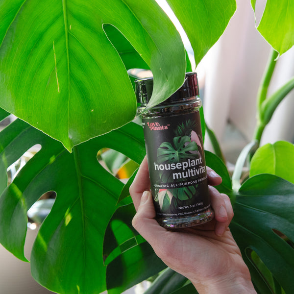 house plant vitamins Houseplant Multivita