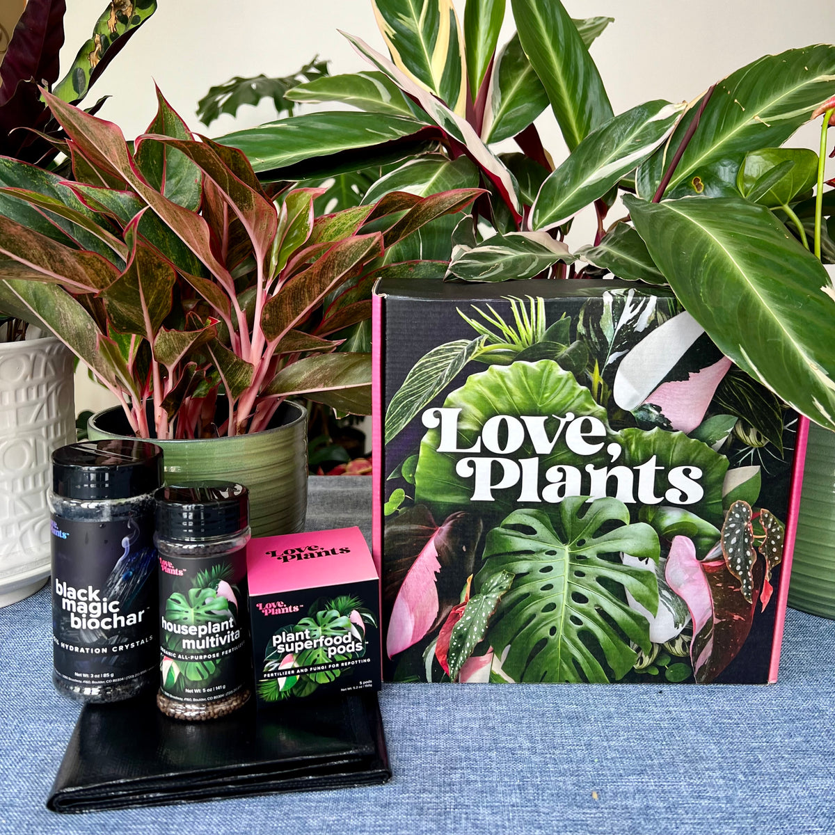 Houseplant Repotting Kit - Love, Plants