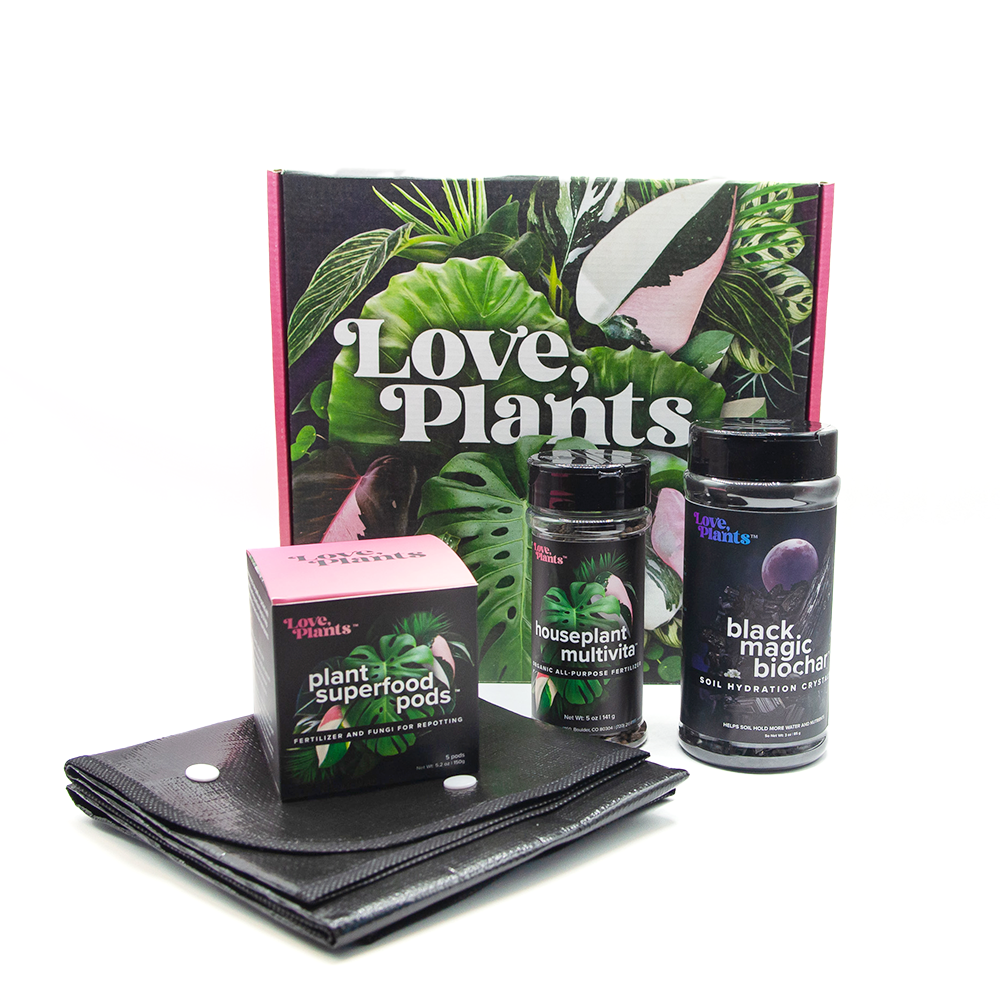 Houseplant Repotting Kit - Love, Plants