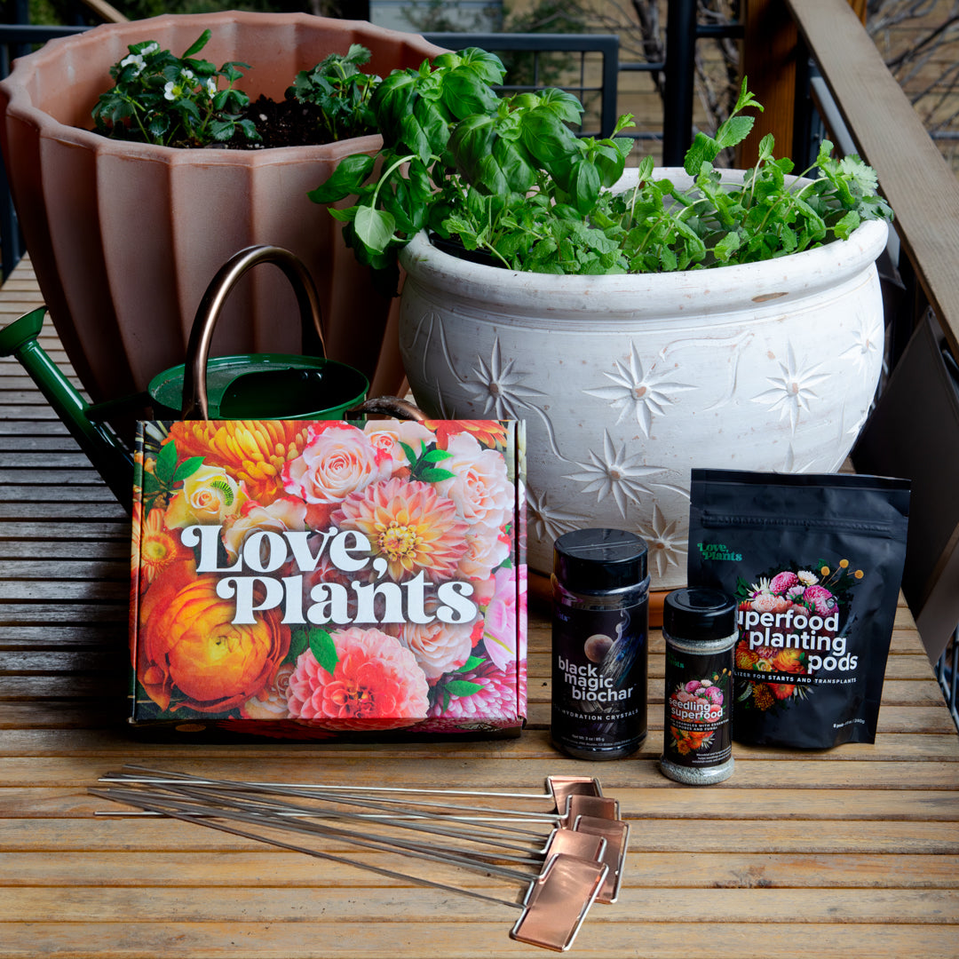 Seed, Start & Transplant Success Kit - Love, Plants