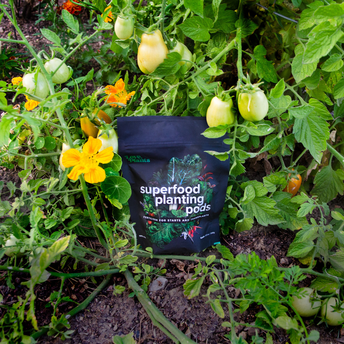 Seed, Start & Transplant Success Kit - Love, Plants