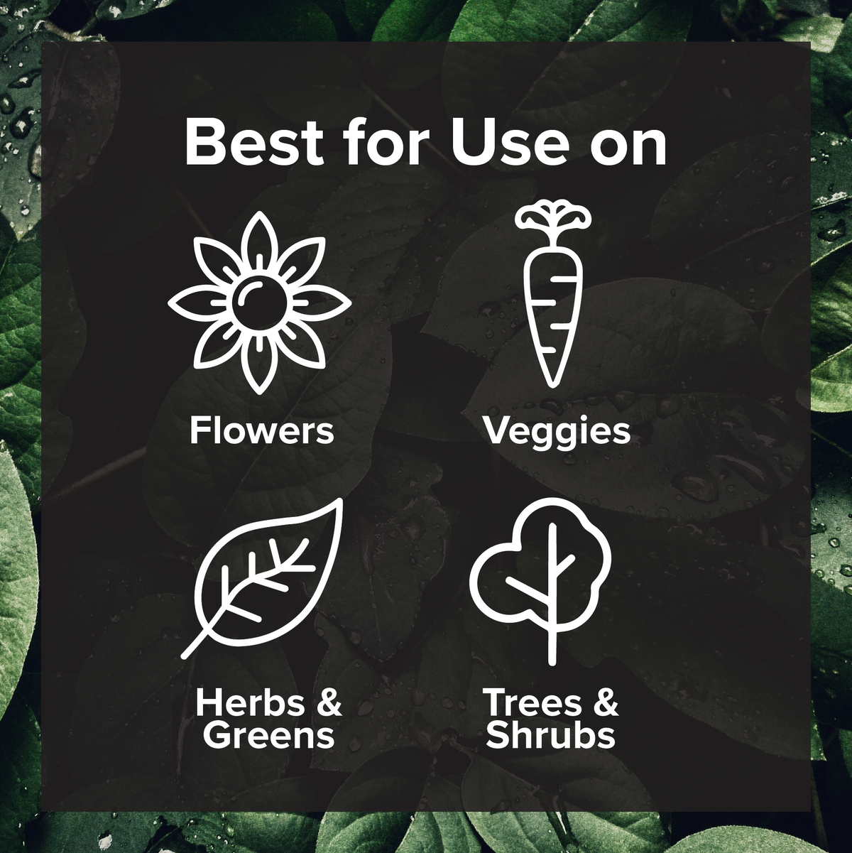 Seed, Start & Transplant Success Kit - Love, Plants