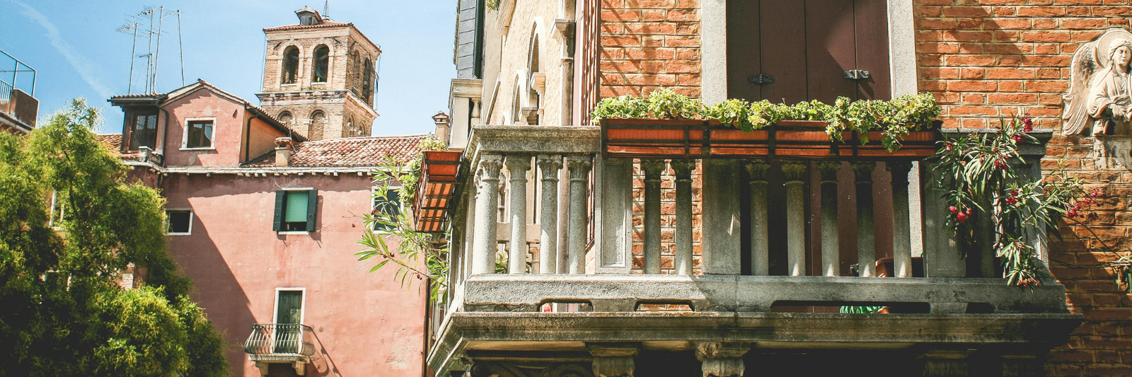 From Pots to Plates: Growing Your Edible Container Garden