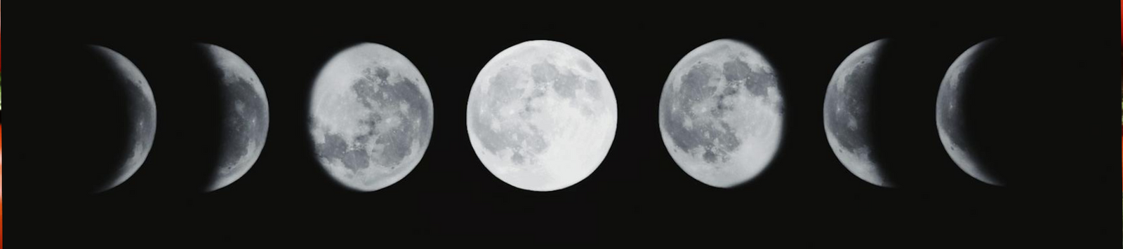 Moon Gardening: Harnessing Lunar Cycles for a Thriving Garden