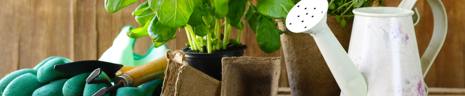 watering can & gardening tools