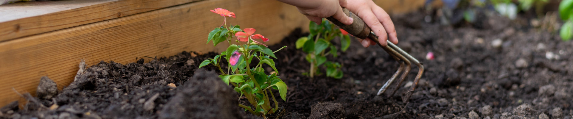 banner of small garden rake and flowers in soil