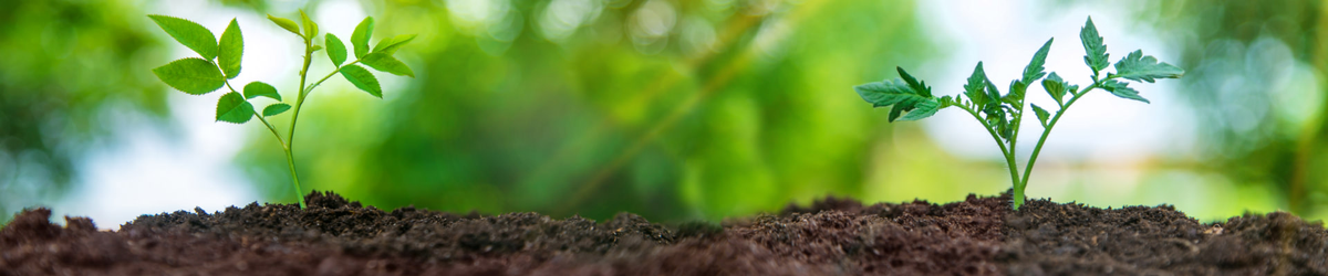 Soil Supplements | Amendments & Conditioners - Love, Plants