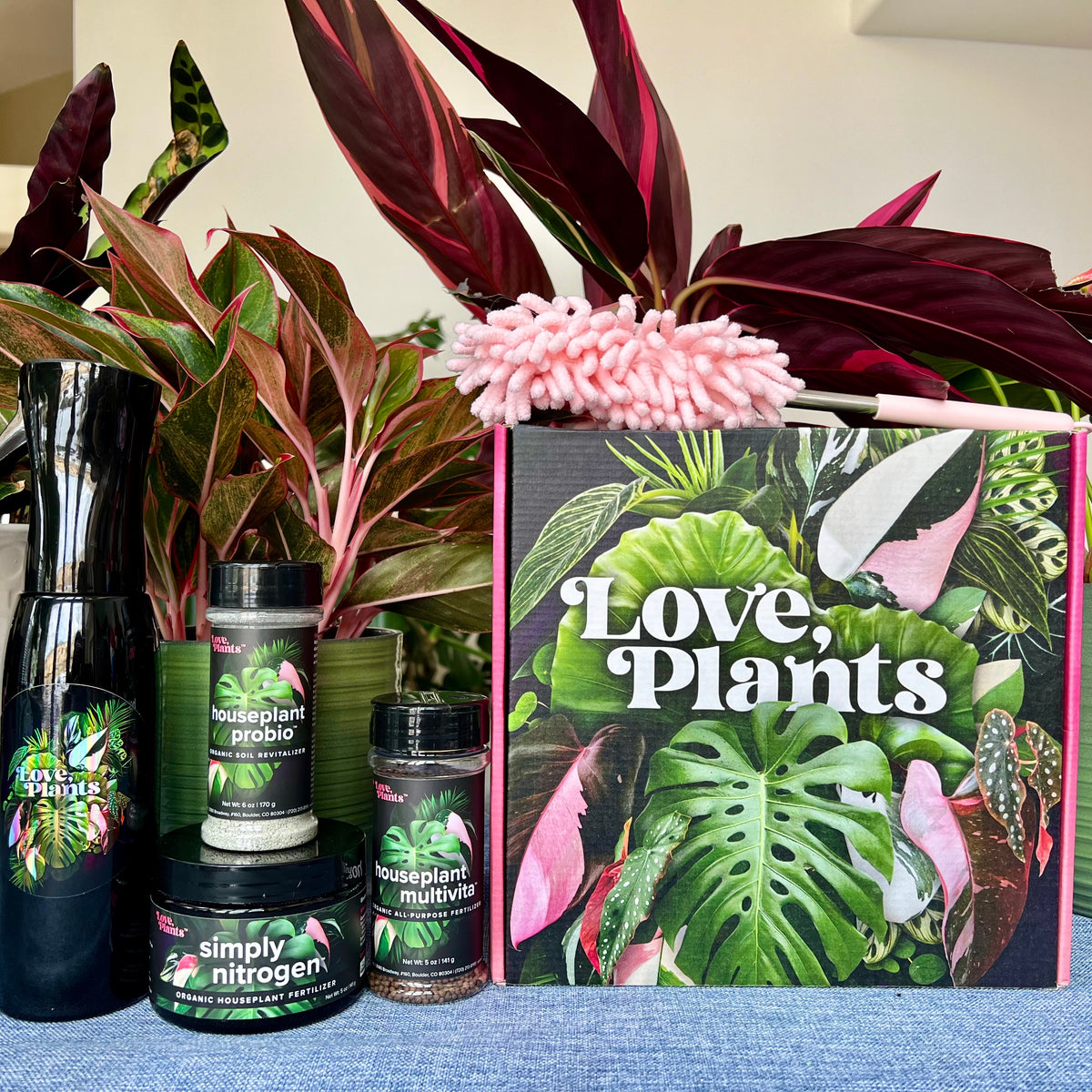 Tropical Houseplant Care Kit