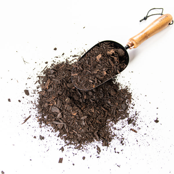 Magic Mushroom Compost | Garden Soil Amendment - Love, Plants