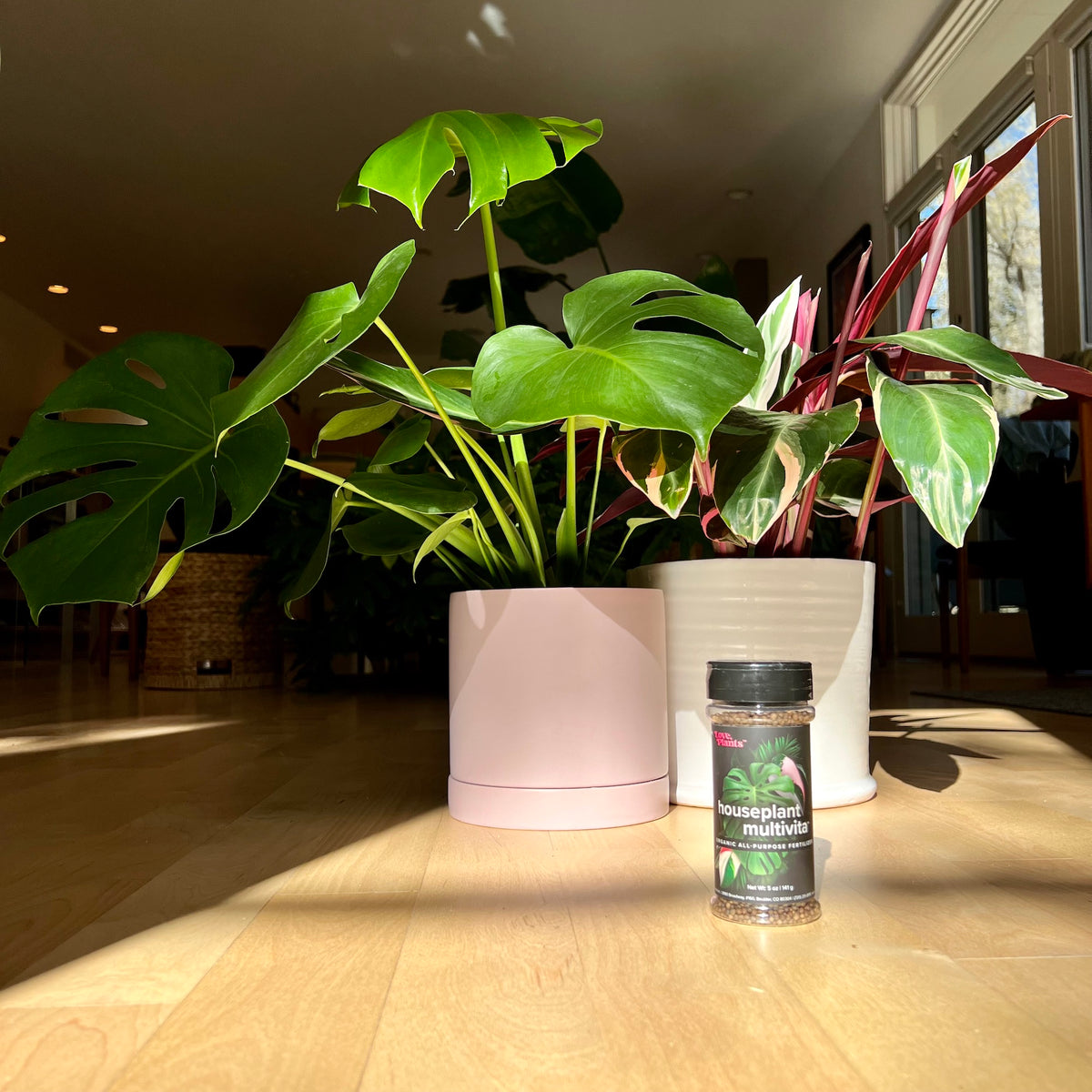 indoor plants vitamins Houseplant Multivitamin