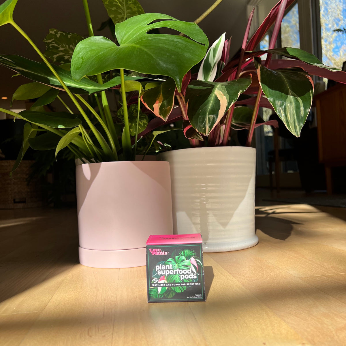 plant fertilizer pods Plant Superfood Pods