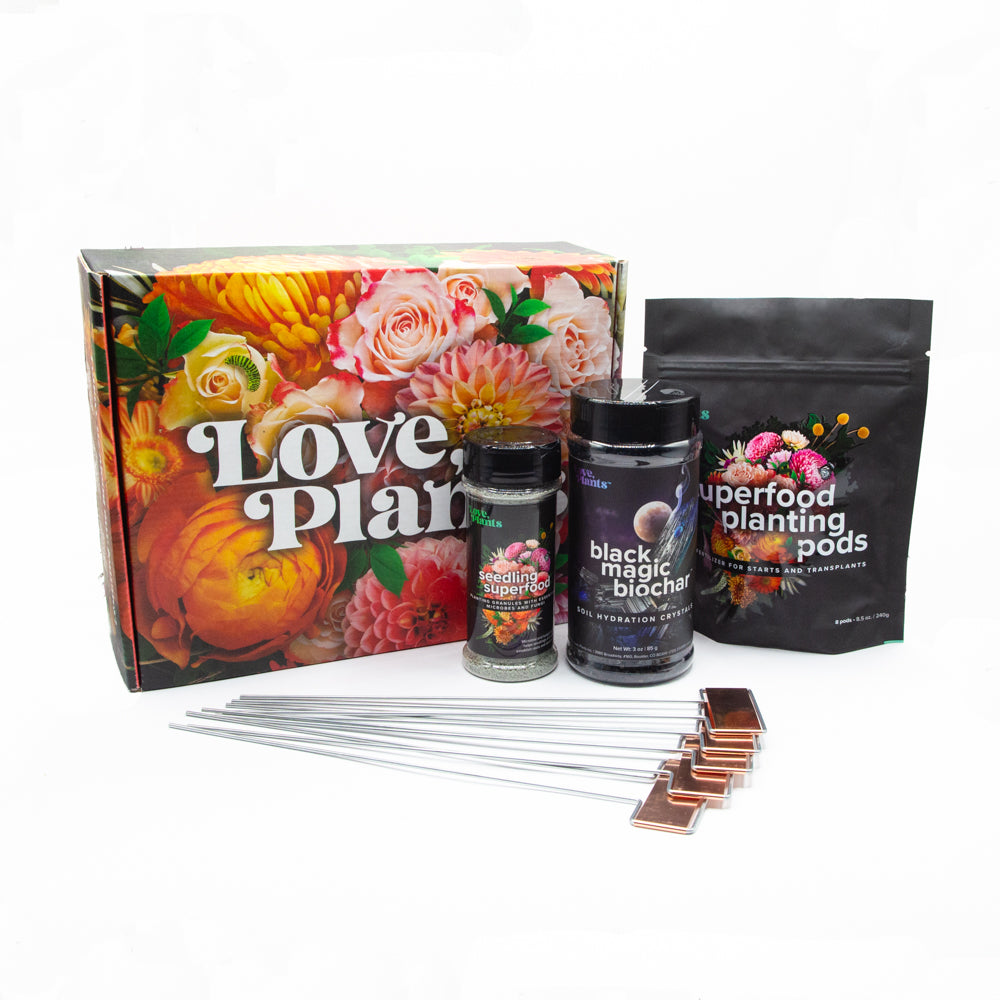 Seed, Start & Transplant Success Kit - Love, Plants