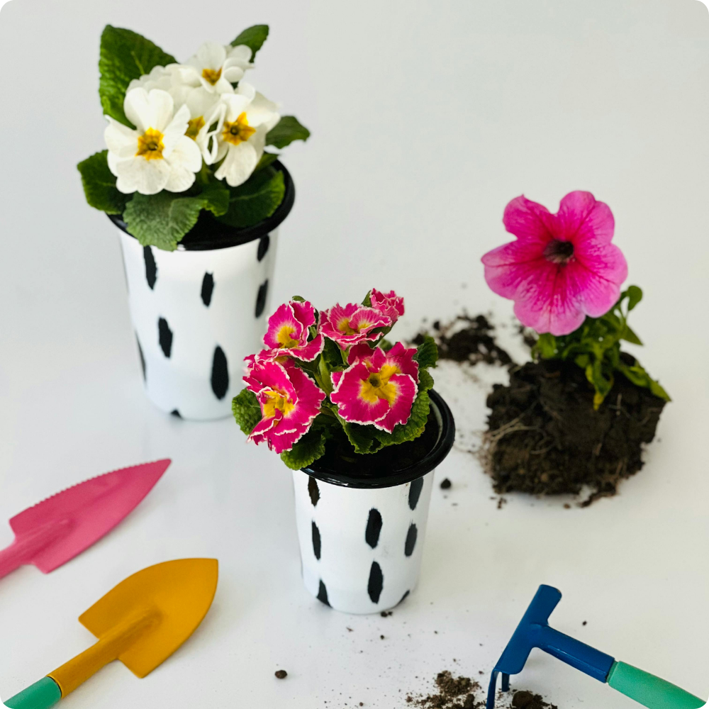 Ornamental Container Gardening: Creating Magic on Your Patio!