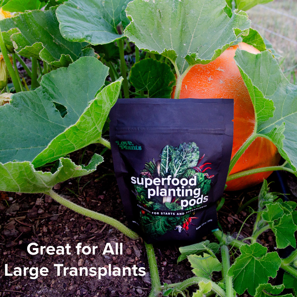 plant fertilizer pods Plant Superfood Pods by Love, Plants Flower