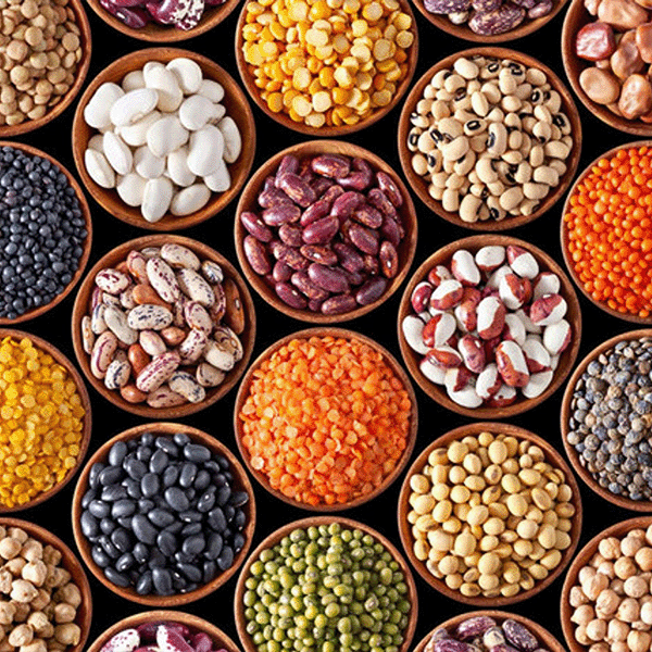 The Joy of Seed Saving: Cultivating Tomorrow from Today’s Harvest